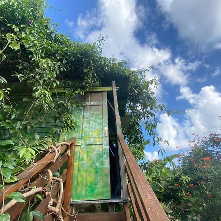 Gites Titanse, La Cabane Dans L Arbre Cadet  Eksteriør billede